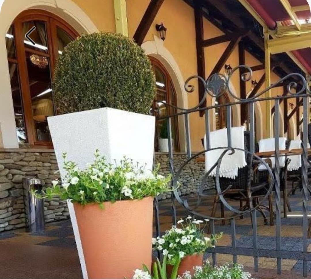 Hotel U Pietrzakow Zielonka  Exterior foto
